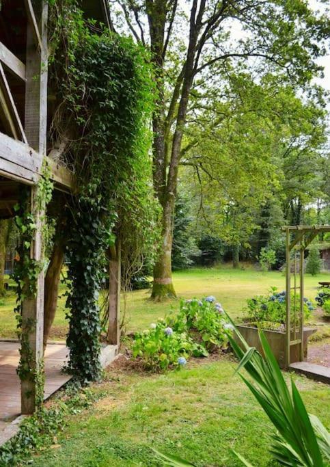 Chalet Cosy Au Coeur De La Foret De Broceliande Beignon Exteriér fotografie